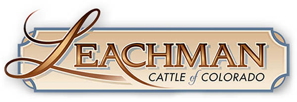 Leachman Cattle of Colorado